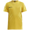 1552 - sweden yellow