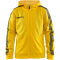 552999 - sweden yellow/black