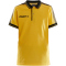 552999 - sweden yellow/black