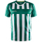 651900 - team green/white