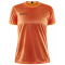 568999 - carrot/black