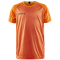 568999 - carrot/black