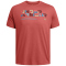 611 - sedona red/silt