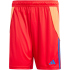 adidas Tiro24 Trainingsshorts Herren A0TG - purple/teassg XS