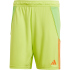 adidas Tiro24 Trainingsshorts Herren A0TG - purple/teassg XS