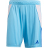 adidas Tiro24 Trainingsshorts Herren A0TG - purple/teassg XS
