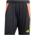 adidas Tiro24 Trainingsshorts Herren A0TG - purple/teassg XS
