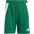 adidas Tiro24 Trainingsshorts Herren A0TG - purple/teassg XS