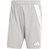 adidas Tiro24 Trainingsshorts Herren A0TG - purple/teassg XS