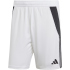 adidas Tiro24 Trainingsshorts Herren A0TG - purple/teassg XS