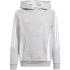 adidas Tiro 24 Sweat-Hoodie Kinder IJ5611 - black/white 116