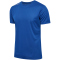7045 - true blue