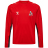 hummel 1. FC Köln Pro langarm Trainingsshirt 2024/25...