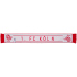 hummel 1. FC Köln Fanschal 2024/25 3062 - true red