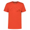 452 - orange
