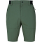 6004 - olive