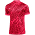 NIKE Dri-FIT Gardien V Torwarttrikot Herren 354 - hyper...