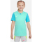 354 - hyper turq/chlorine blue/white