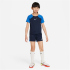 NIKE Academy Pro Dri-FIT Set (Trikot+Shorts) Kinder 010 -...