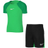 NIKE Academy Pro Dri-FIT Set (Trikot+Shorts) Kinder 010 -...