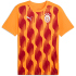 PUMA Galatasaray Istanbul Aufwärmshirt 2024/25...