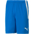 PUMA teamLIGA Trainingsshorts Herren 09 - cordovan/puma...
